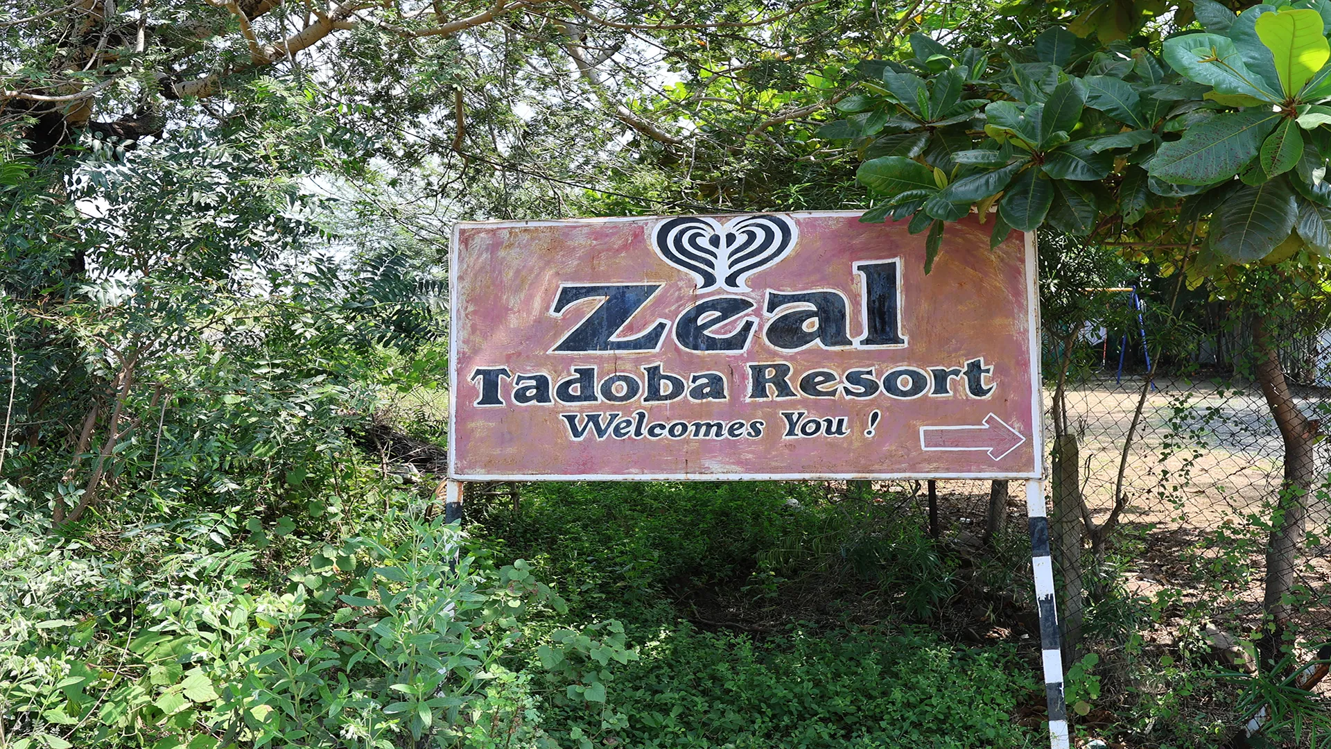 best resort in tadoba (22)