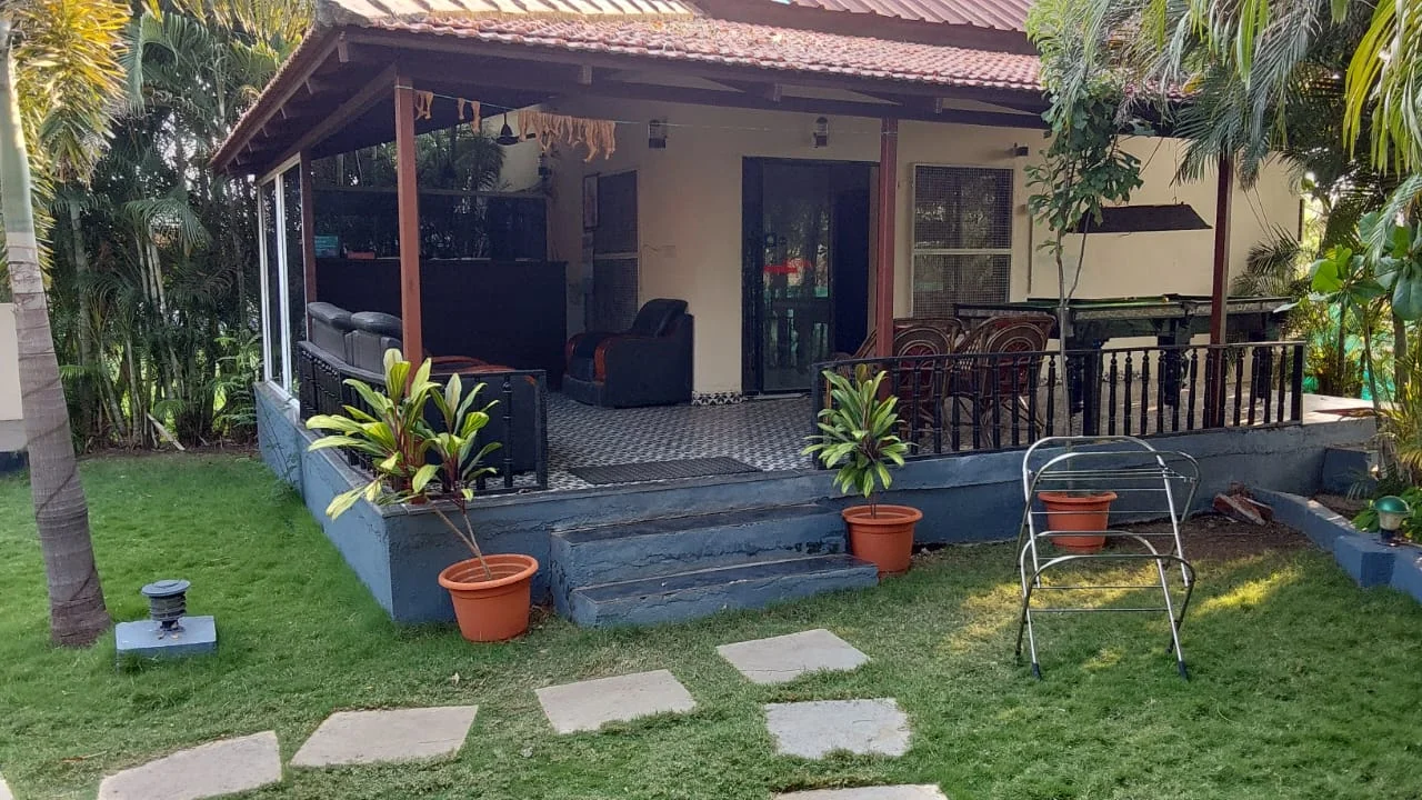 zeal new folder (53)